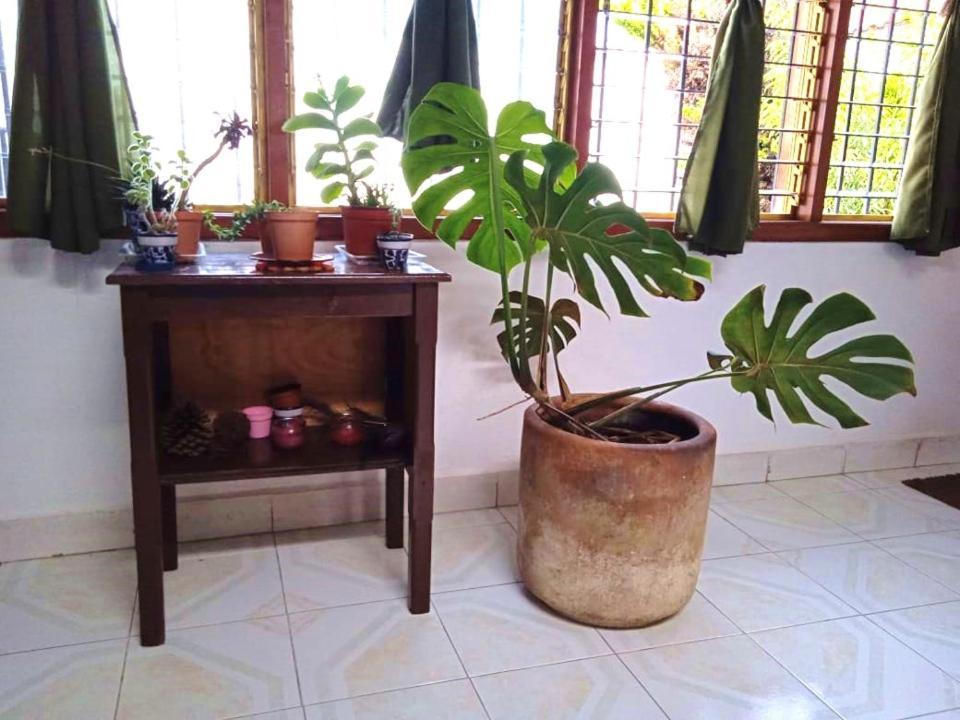 Casa Natura San Cristóbal de Las Casas Exteriör bild